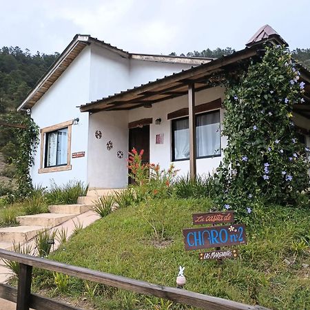 Villa La Casita De Charo 2 Constanza Exterior foto
